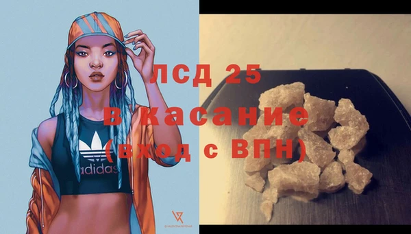 apvp Нея