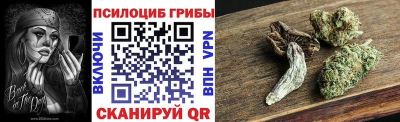 Галлюциногенные грибы Psilocybe Купить Елабуга